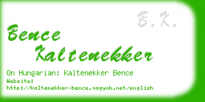 bence kaltenekker business card